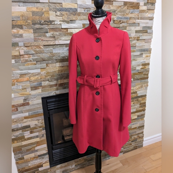 Gorgeous Fall/Spring Coat - Picture 1 of 6
